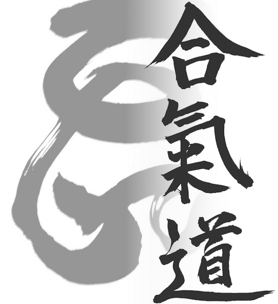 aikido 1